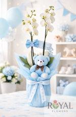 Çift Dallı Beyaz Orkide & Mavi Ayıcıklı – Erkek Bebek İçin Hoş Geldin Hediye💙