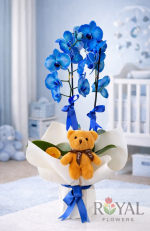 Çift Dallı Mavi Orkide & Ayıcıklı – Yeni Doğan Bebek ve Anneye Özel Hediye💙
