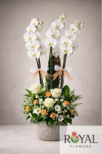 4 Dal Beyaz Orkide, Beyaz Gül & Papatya Aranjmanı | Premium Tasarım 🤍🌼