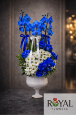 6 Dal Mavi İthal Orkide & Krizantem Aranjmanı | Lüks Premium Tasarım 💙🌼