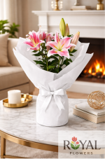 Yoğun Kokulu Pembe Lilyum Saksı Çiçeği 🌸 | Mis Kokulu Lilyum